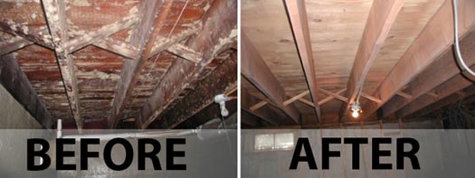 Before and after mold